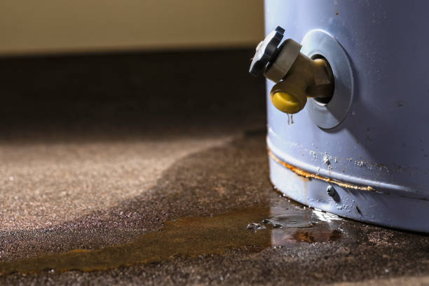 Best Water damage restoration near me  in Strawberry Plains, TN