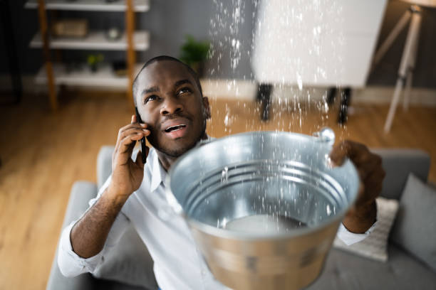 Best Flood restoration services  in Strawberry Plains, TN