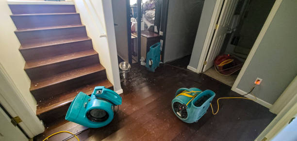 Best Emergency water damage restoration  in Strawberry Plains, TN