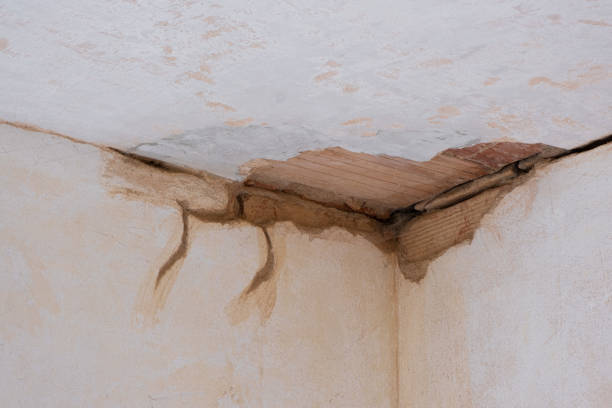 Best 24-hour water damage restoration  in Strawberry Plains, TN