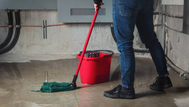  Strawberry Plains, TN Water damage restoration Pros
