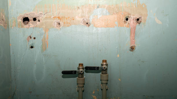 Best Water damage contractors near me  in Strawberry Plains, TN